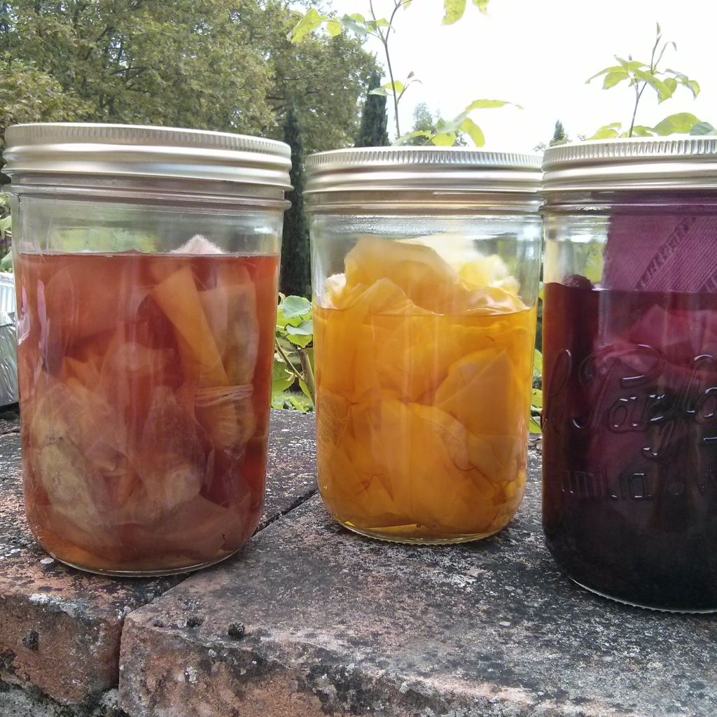 Postcard from Chateau Dumas 1