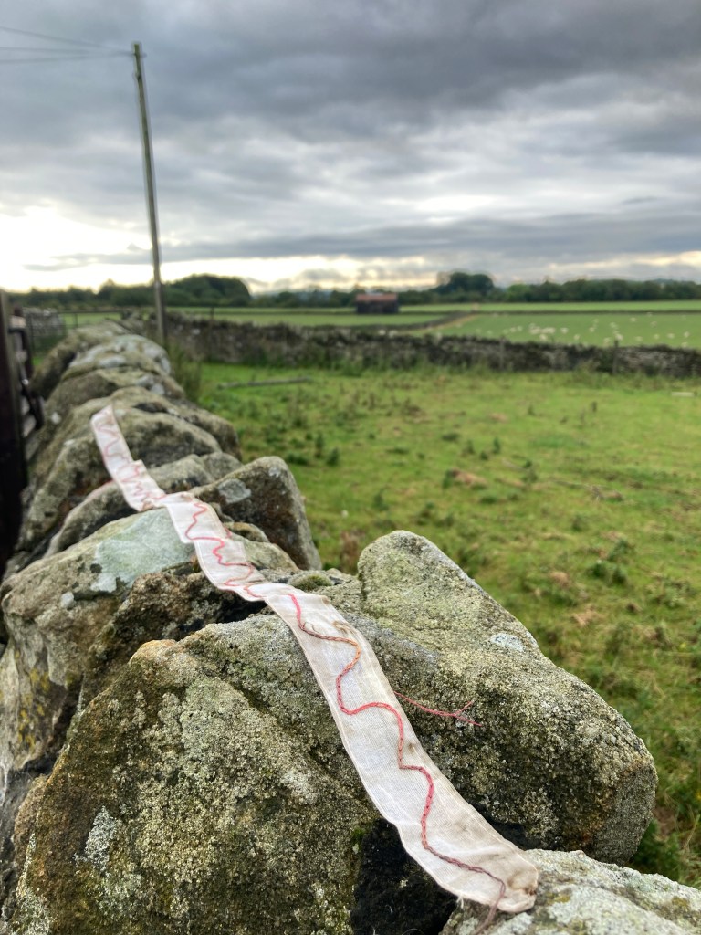 Long narrow textile with fine pink stitched line along the length, displayed on a rugged stone wall
