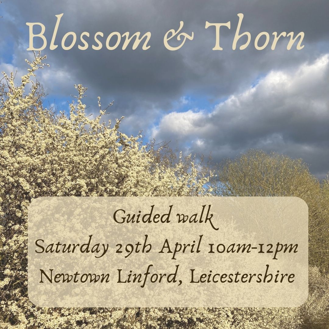 Blossom & Thorn – get involved