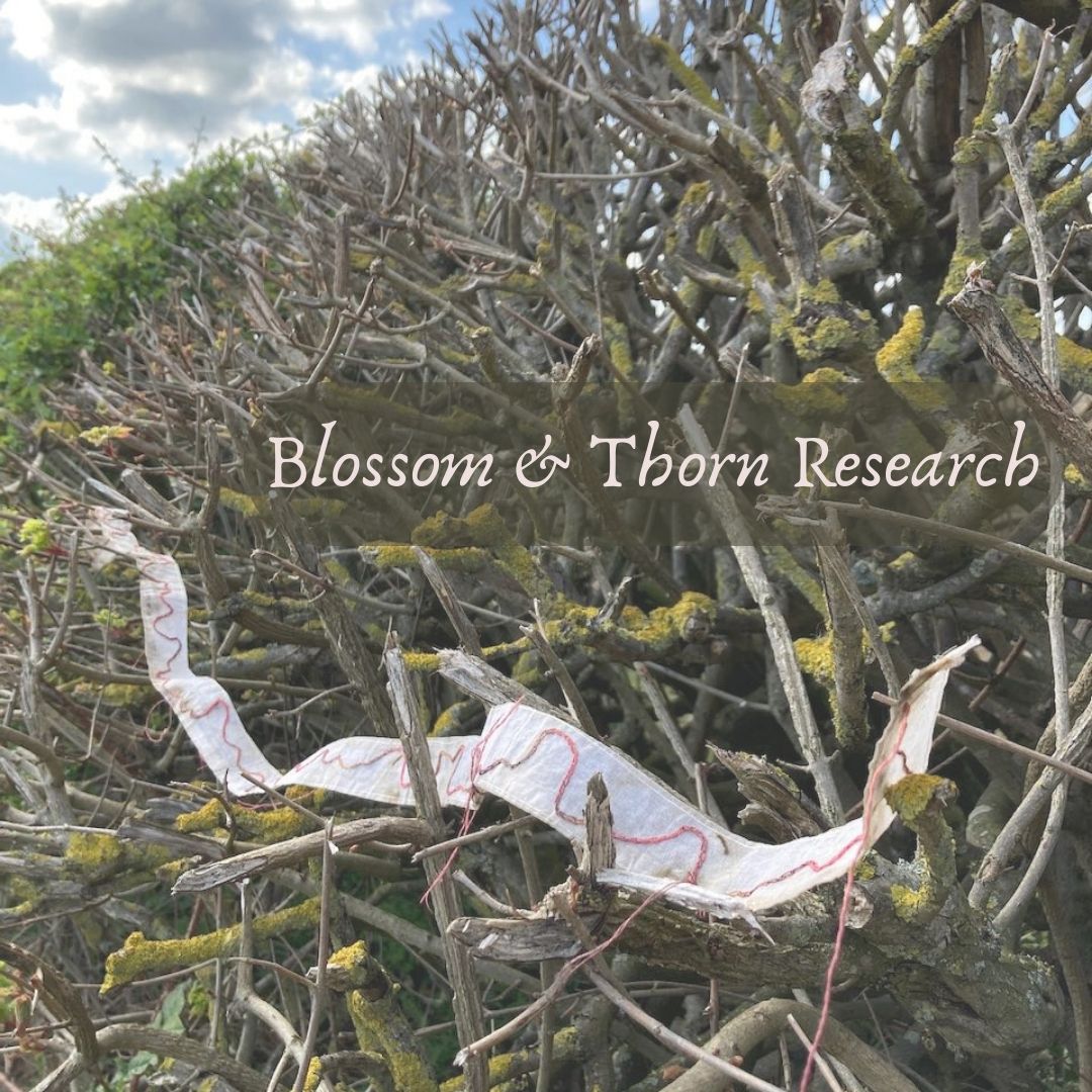Blossom and Thorn Research
