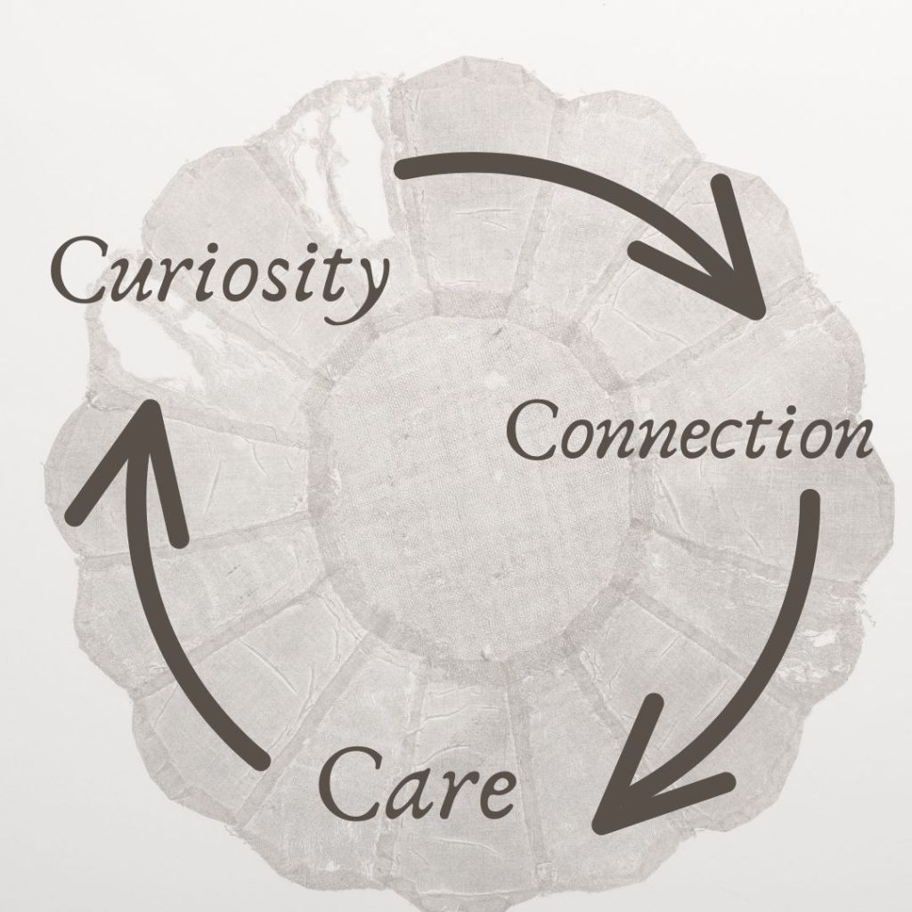 diagram showing word curiosity with arrow leading to word connection with arrow leading to word care with arrow leading back to curiosity in a cycle