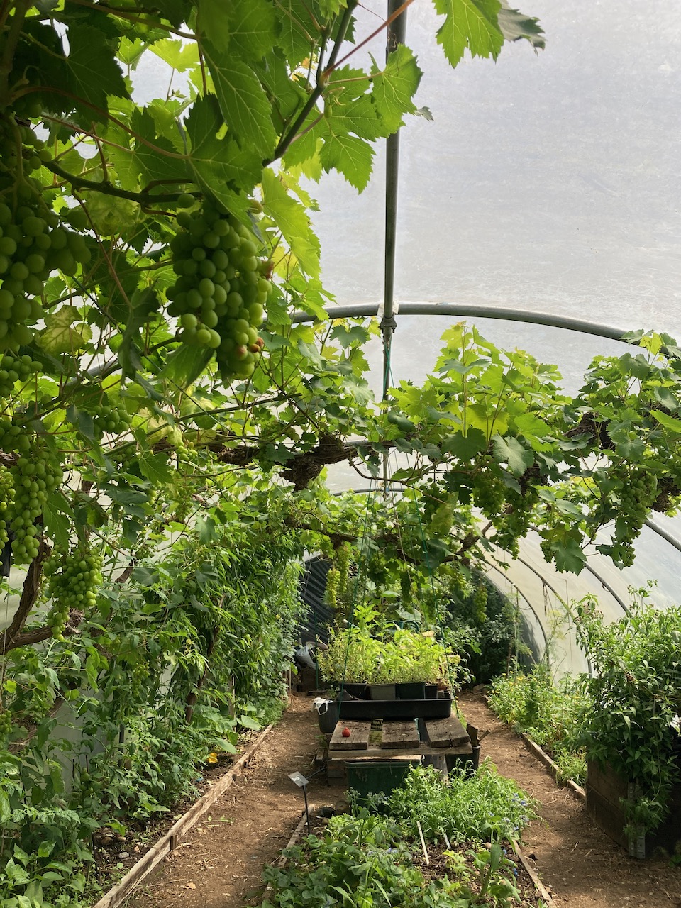 Artist Development Day